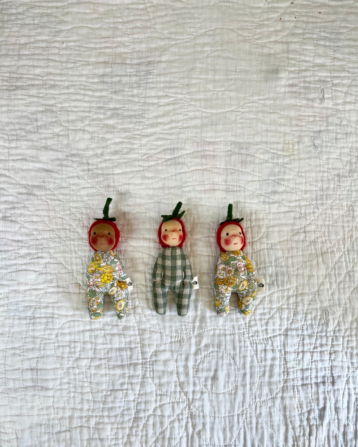 Tomato Babies