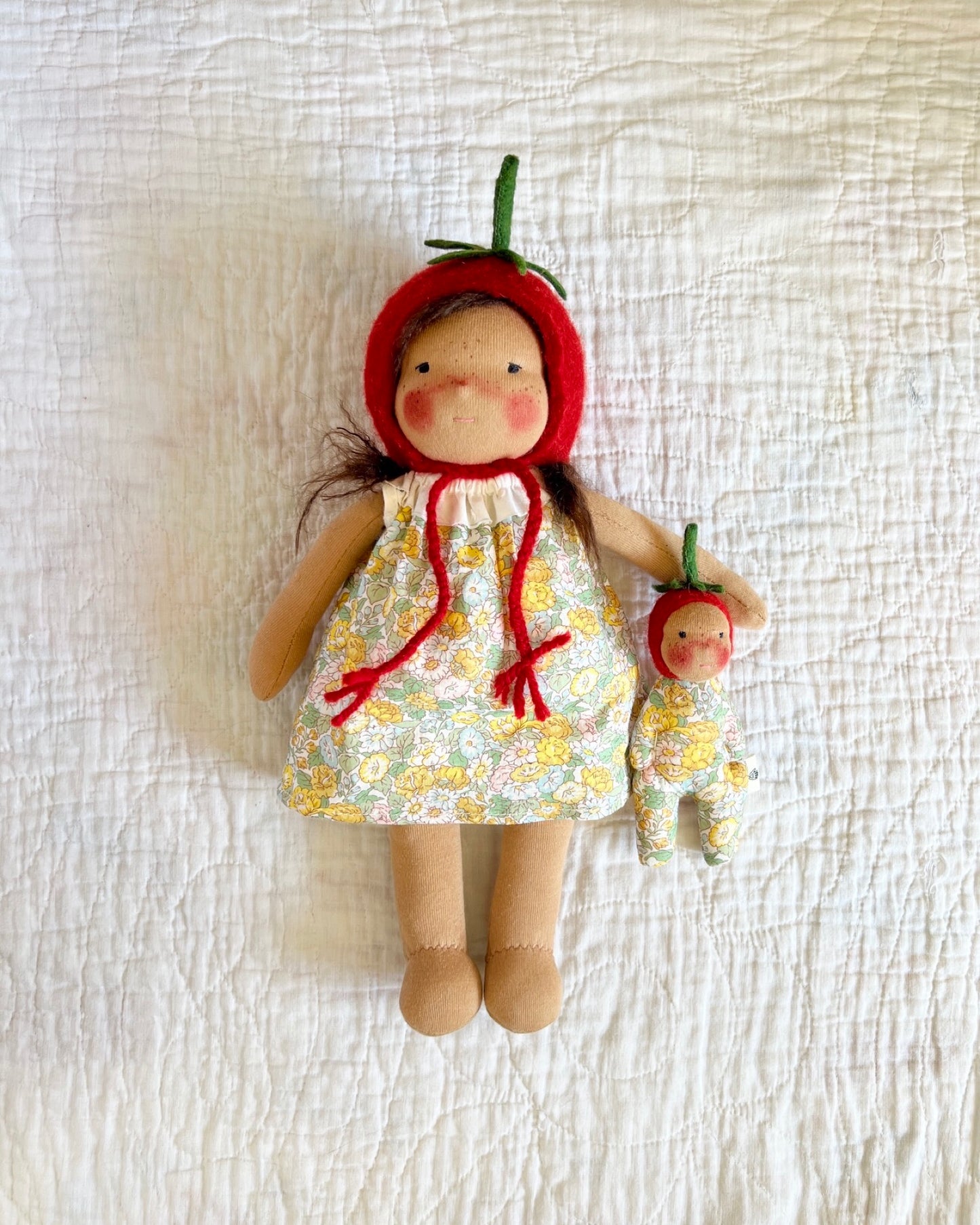 Tomato Friend Dress-Up|Cocoa Skin