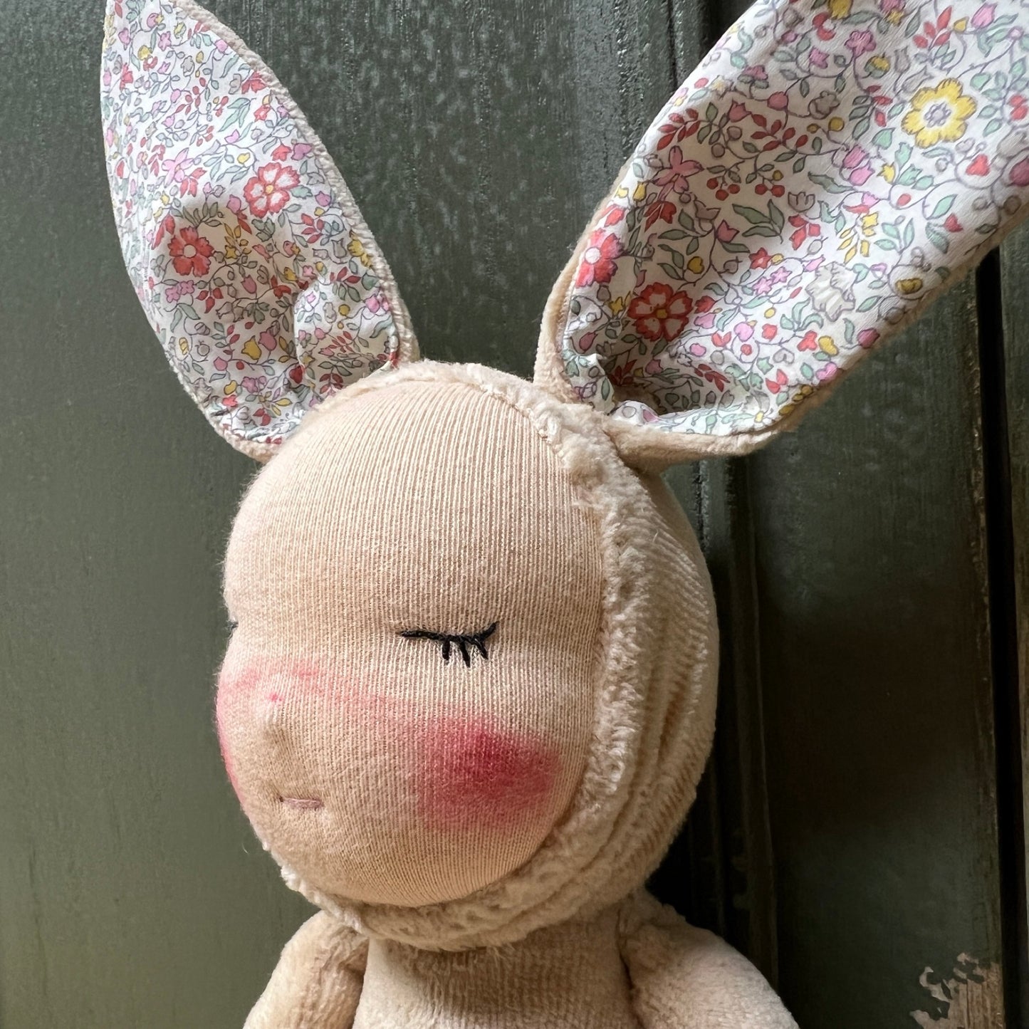 Cuddle Bunny_ Eucalyptus Dyed Dried Rose